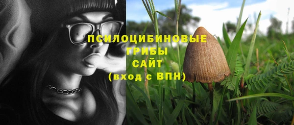 тгк Костерёво