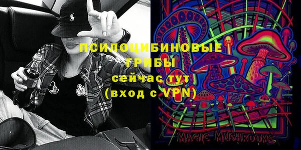 ECSTASY Корсаков