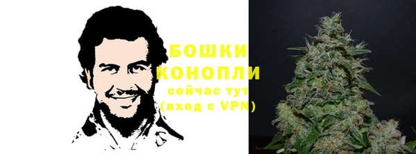 ECSTASY Корсаков