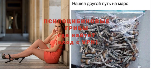 ECSTASY Корсаков