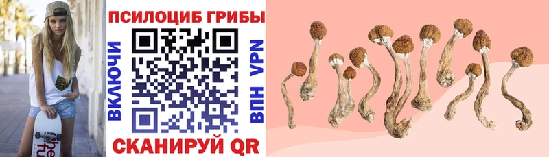 Псилоцибиновые грибы Magic Shrooms  Купить где  Лиски 
